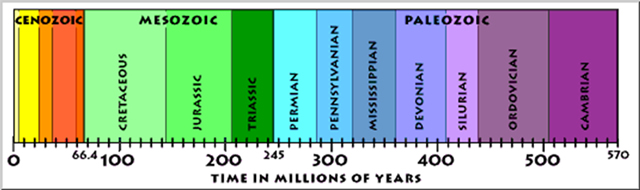 Phanerozoic geologic time scale