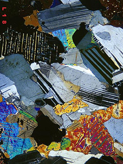 Gabbro in thin section