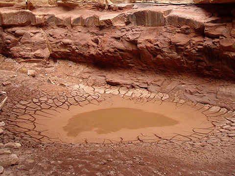 Ryder Canyon mud cracks