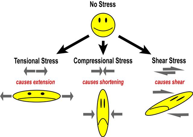 stress and strain