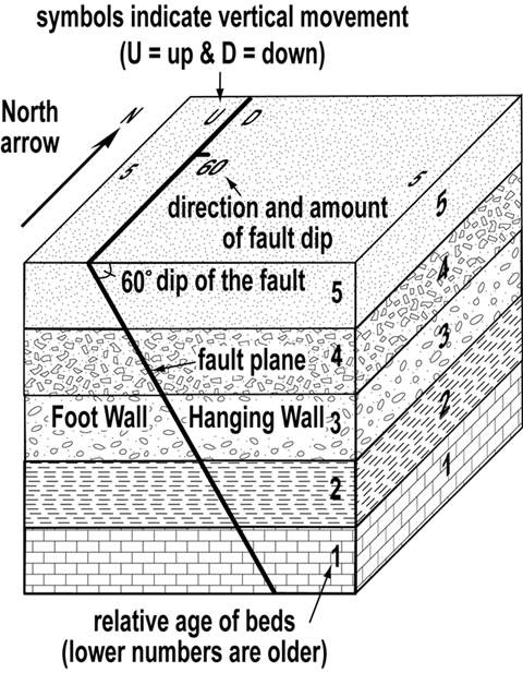 dip-slip fault