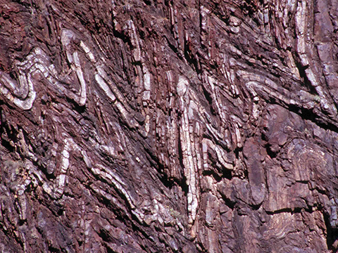 Chevron folds in Barnhardt Canyon