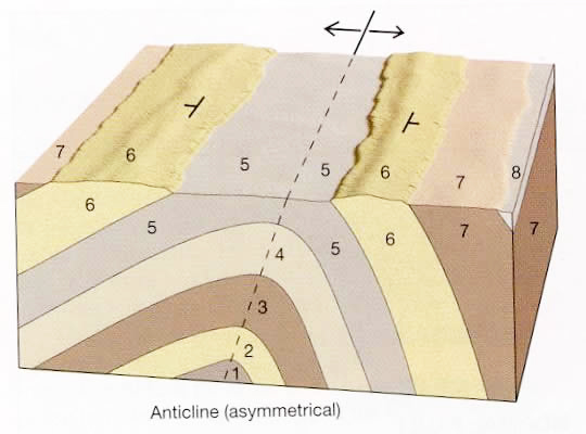 Anticline