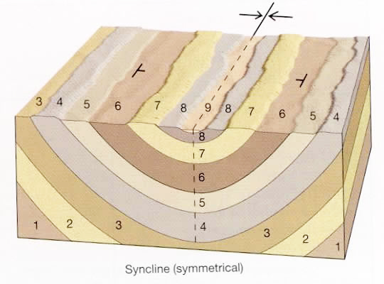 syncline