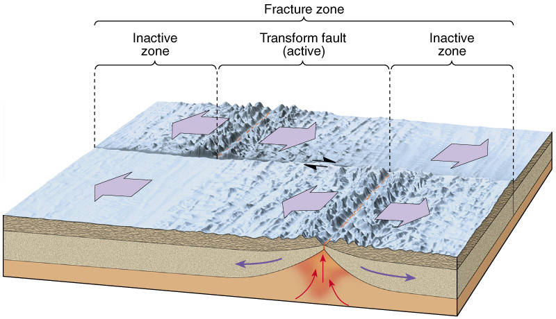 Oceanic Divergent & Transform boundaries