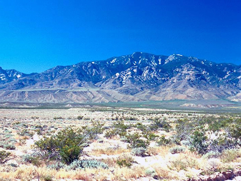 Pinaleno Mountains