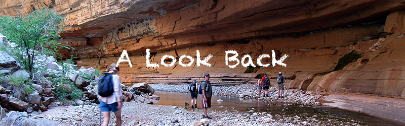 A Look Back
