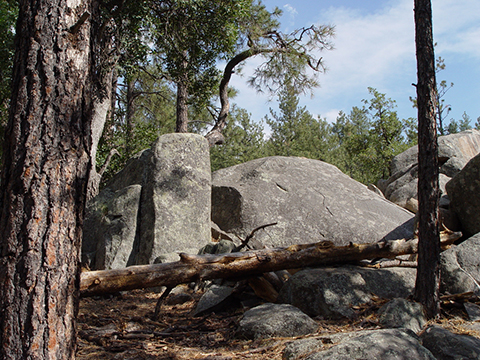 Prescott Granodiorite