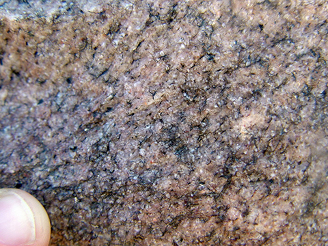 Elves Chasm Granodiorite