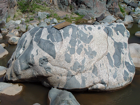 Xenolith-rich river boulder