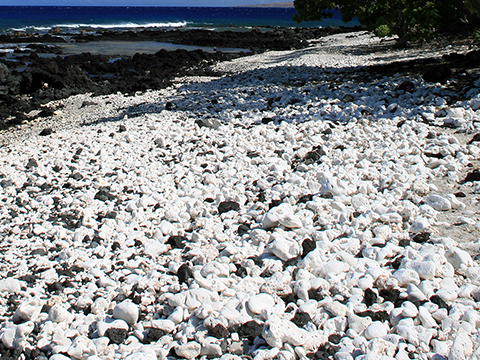 Hawaii gravel