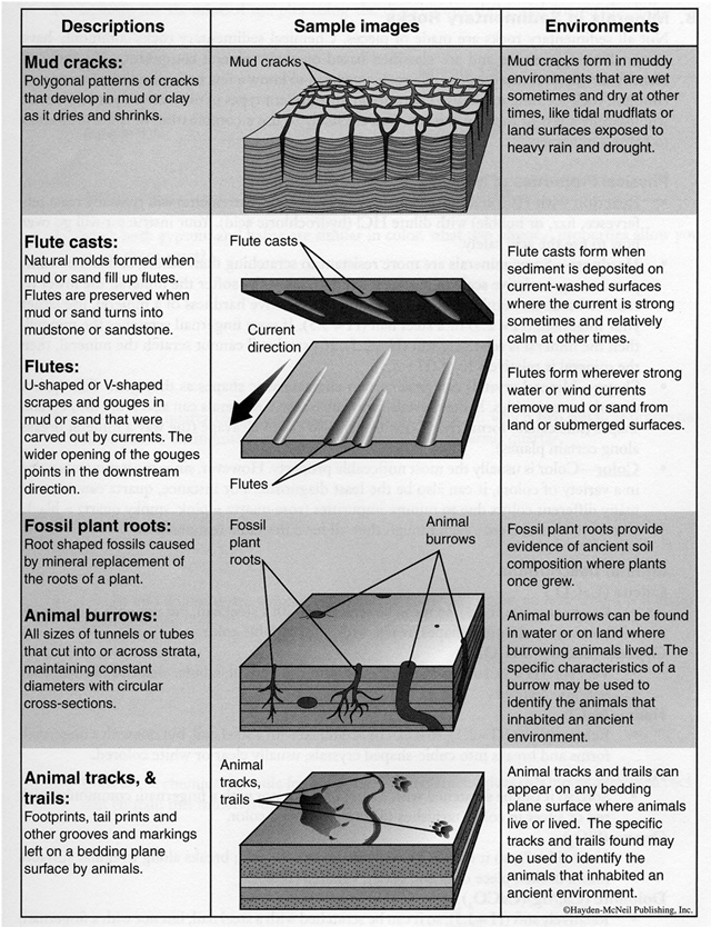 Sed structures 2