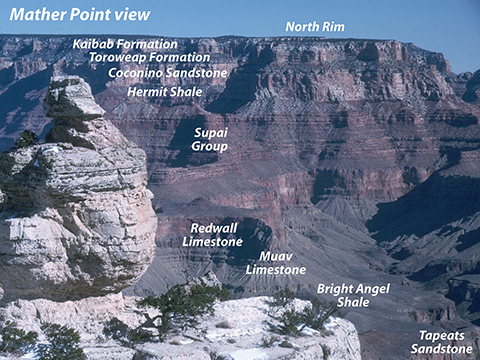 Mather Point stratigraphy