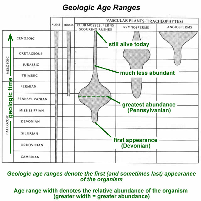 Geologic age ranges