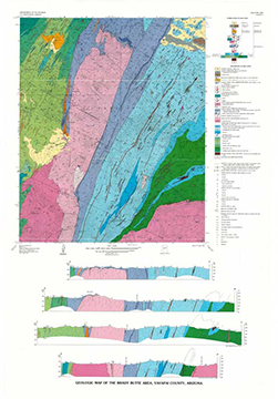 Geologic Map of the Brady Butte Quadrangle