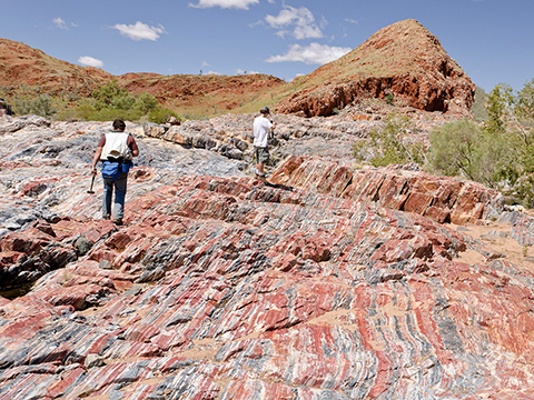 Marble Bar Chert