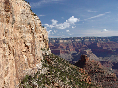 Coconino cliffs