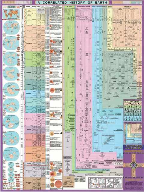 A Correlated History of Earth