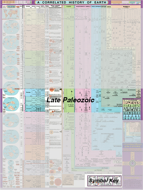 A Correlated History of Earth / Late Paleozoic