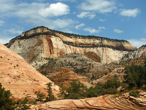 Zion NP