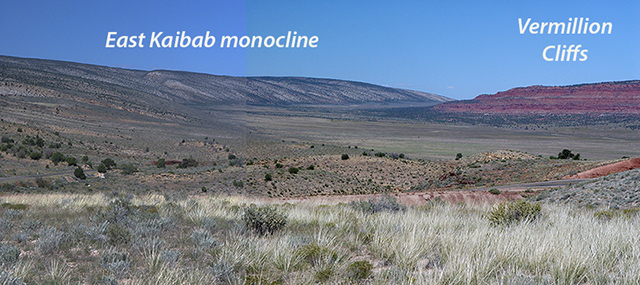 East Kaibab monocline