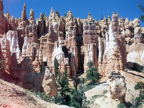 Bryce Canyon hoodoos