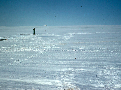 Greenland ice sheet