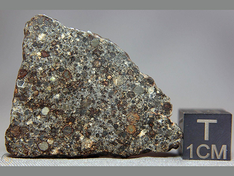 NWA 10303 chondrite