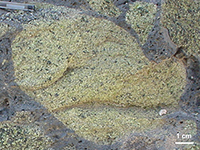 Peridotite