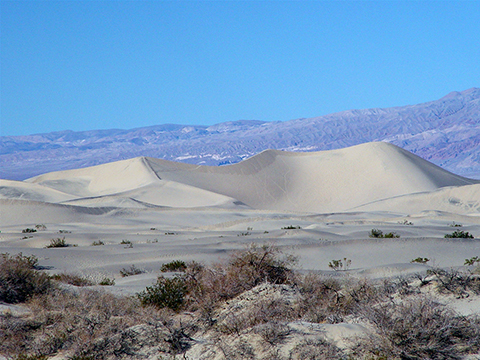 Mesquite Dunes