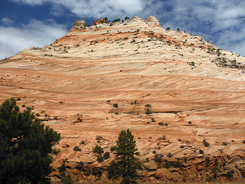 Navajo Sandstone cross bedding