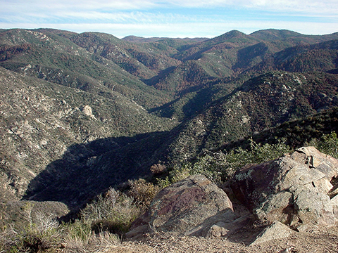 Bradshaw Mountains