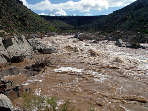 Agua Fria River